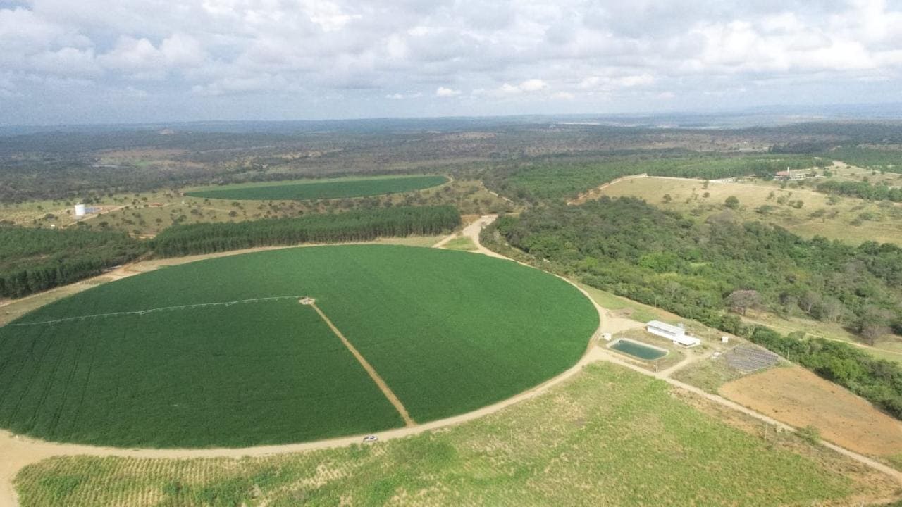 Instalações para confinamento de bovinos — Pivô central de irrigação · Brasil