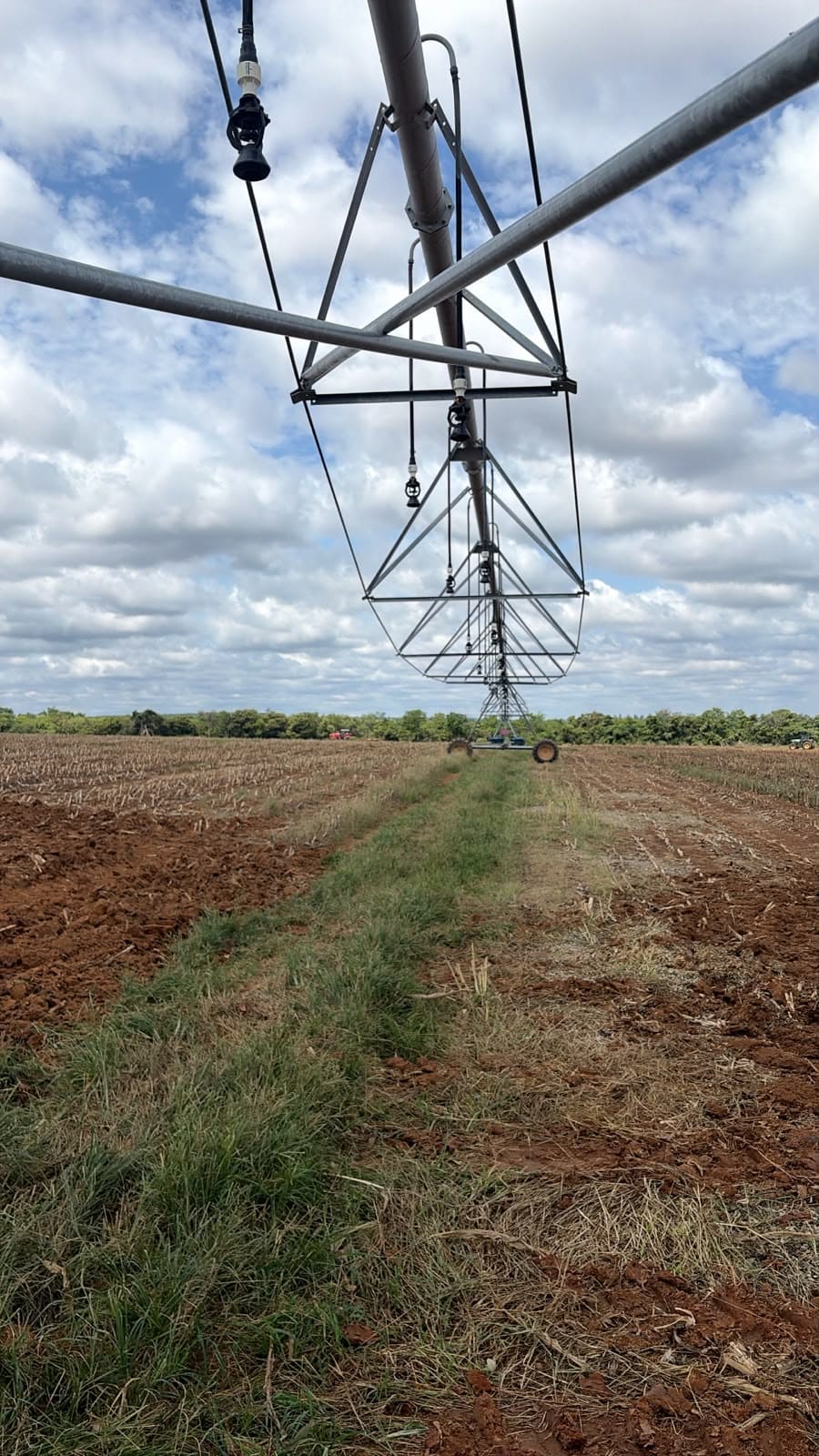 Instalações para confinamento de bovinos — Irrigação em área de plantio · Brasil
