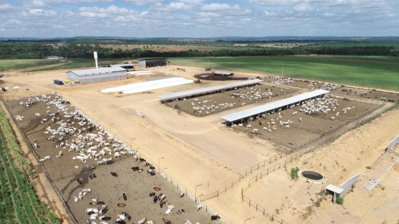 Instalações para confinamento de bovinos — Capacidade 5000 animais · Brasil