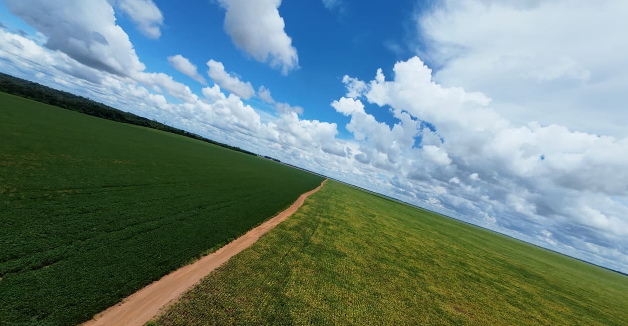 Instalações para confinamento de bovinos — Lavouras em larga escala · Brasil